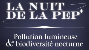 La nuit de la Pep